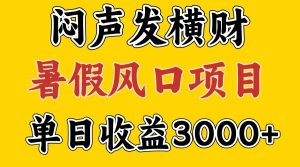 30天赚了7.5W 暑假风口项目,比较好学,2天左右上手-庄子聊项目