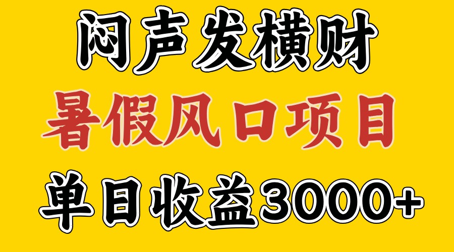 30天赚了7.5W 暑假风口项目，比较好学，2天左右上手-庄子聊项目