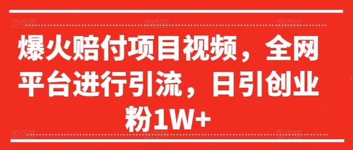 爆火赔付项目视频，全网平台进行引流，日引创业粉1W+【揭秘】-庄子聊项目