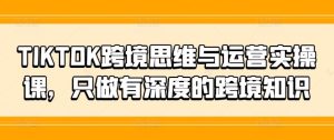 TIKTOK跨境思维与运营实操课,只做有深度的跨境知识-庄子聊项目