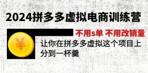(12024期)2024拼多多虚拟电商训练营 不s单 不改销量  做虚拟项目分一杯羹(更新10节)-庄子聊项目