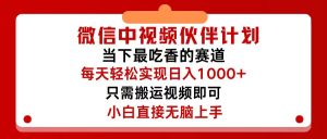 （12017期）微信中视频伙伴计划，仅靠搬运就能轻松实现日入500+，关键操作还简单，…-庄子聊项目