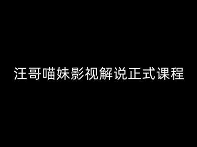 汪哥影视解说正式课程：剪映/PR教学/视解说剪辑5大黄金法则/全流程剪辑7把利器等等-庄子聊项目