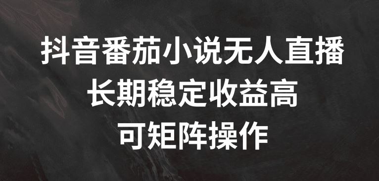 抖音番茄小说无人直播，长期稳定收益高，可矩阵操作【揭秘】-庄子聊项目