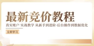 竞价教程:真实账户 实战教学 从新手到进阶·后台操作到数据优化-庄子聊项目