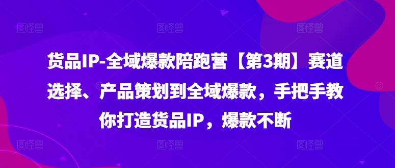 货品IP全域爆款陪跑营【第3期】赛道选择、产品策划到全域爆款，手把手教你打造货品IP，爆款不断-庄子聊项目