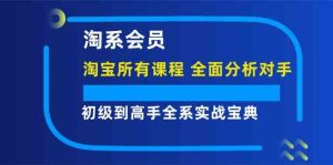 淘系会员初级到高手全系实战宝典【淘宝所有课程，全面分析对手】-庄子聊项目