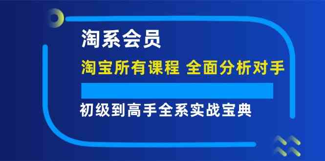 淘系会员初级到高手全系实战宝典【淘宝所有课程，全面分析对手】-庄子聊项目