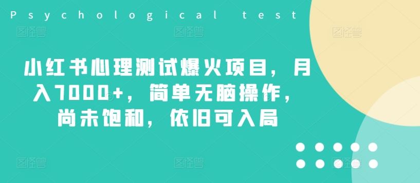 小红书心理测试爆火项目，月入7000+，简单无脑操作，尚未饱和，依旧可入局-庄子聊项目