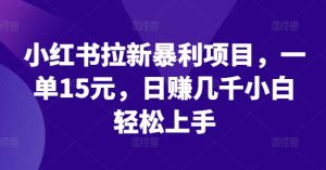 小红书拉新暴利项目，一单15元，日赚几千小白轻松上手-庄子聊项目