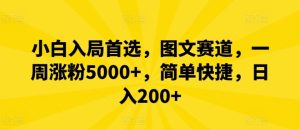 小白入局首选,图文赛道,一周涨粉5000+,简单快捷,日入200+-庄子聊项目