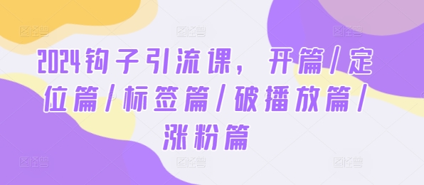 2024钩子引流课，开篇/定位篇/标签篇/破播放篇/涨粉篇-庄子聊项目