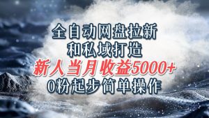 全自动网盘拉新和私域打造,0粉起步简单操作,新人入门当月收益5000以上-庄子聊项目