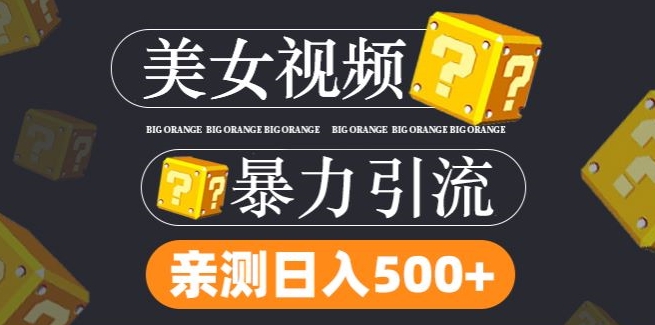 搬运tk美女视频全网分发，日引s粉300+，轻松变现，不限流量不封号-庄子聊项目