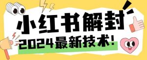 2024最新小红书账号封禁解封方法,无限释放手机号-庄子聊项目