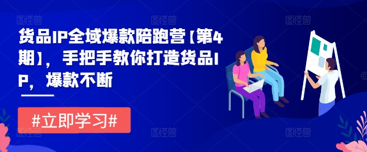货品IP全域爆款陪跑营【第4期】，手把手教你打造货品IP，爆款不断-庄子聊项目