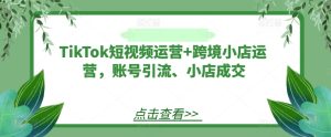 TikTok短视频运营+跨境小店运营，账号引流、小店成交-庄子聊项目
