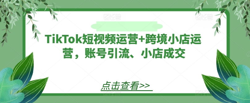 TikTok短视频运营+跨境小店运营，账号引流、小店成交-庄子聊项目