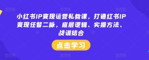 小红书IP变现运营私教课，打通红书IP变现任督二脉，底层逻辑、实操方法、战训结合-庄子聊项目