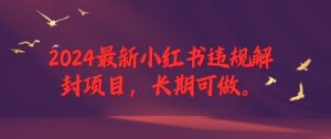 2024最新小红书违规解封项目,长期可做,一个可以做到退休的项目-庄子聊项目