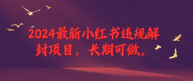 2024最新小红书违规解封项目，长期可做，一个可以做到退休的项目-庄子聊项目
