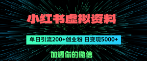 （12164期）小红书虚拟资料日引流200+创业粉，单日变现5000+-庄子聊项目