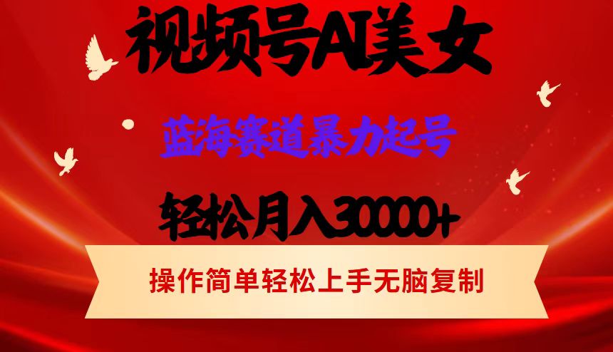 （12178期）视频号AI美女跳舞，轻松月入30000+，蓝海赛道，流量池巨大，起号猛，当…-庄子聊项目
