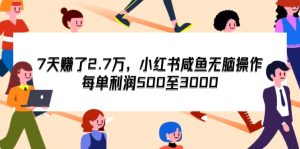 （12192期）7天收了2.7万，小红书咸鱼无脑操作，每单利润500至3000-庄子聊项目