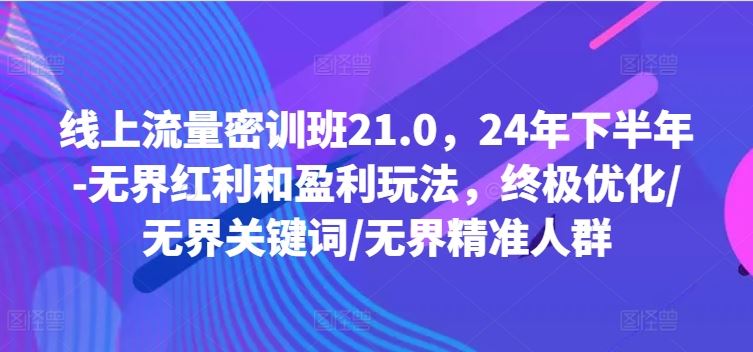线上流量密训班21.0，24年下半年-无界红利和盈利玩法，终极优化/无界关键词/无界精准人群-庄子聊项目