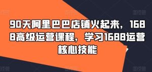 90天阿里巴巴店铺火起来,1688高级运营课程,学习1688运营核心技能-庄子聊项目