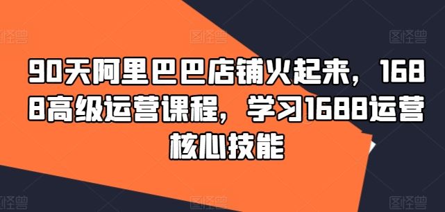 90天阿里巴巴店铺火起来，1688高级运营课程，学习1688运营核心技能-庄子聊项目