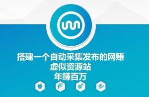 搭建一个自动采集发布的网创虚似资源站年赚百W【揭秘】-庄子聊项目