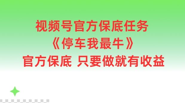 视频号官方保底任务，停车我最牛，官方保底只要做就有收益【揭秘】-庄子聊项目