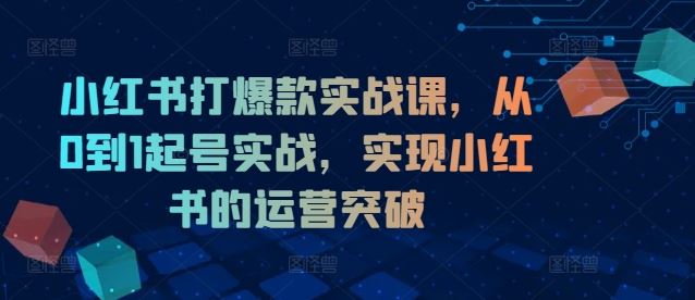 小红书打爆款实战课，从0到1起号实战，实现小红书的运营突破-庄子聊项目