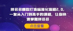 拼多多爆款打造标准化流程2.0,一套从入门到高手的课程,让你快速掌握拼多多-庄子聊项目