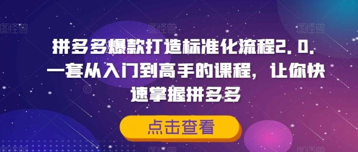 拼多多爆款打造标准化流程2.0，一套从入门到高手的课程，让你快速掌握拼多多-庄子聊项目