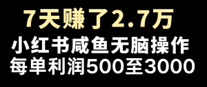 七天赚了2.7万!每单利润最少500+,轻松月入5万+小白有手就行-庄子聊项目