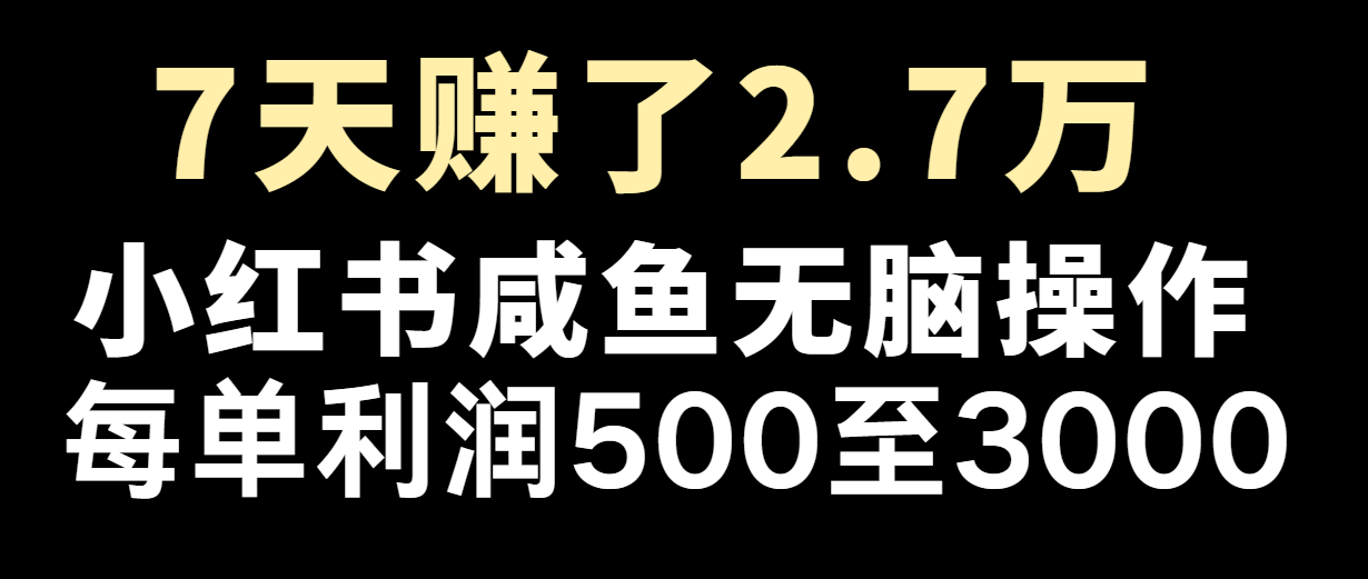 七天赚了2.7万！每单利润最少500+，轻松月入5万+小白有手就行-庄子聊项目