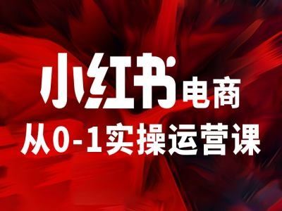 小红书电商从0-1实操运营课，让你从小白到精英-庄子聊项目