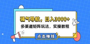 （12255期）日入3000+ 骚气导航，多渠道矩阵玩法，实操教程-庄子聊项目