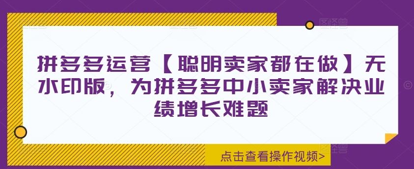 拼多多运营【聪明卖家都在做】无水印版，为拼多多中小卖家解决业绩增长难题-庄子聊项目
