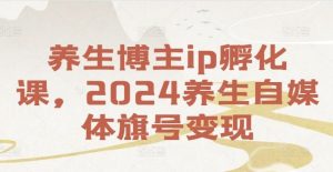 养生博主ip孵化课，2024养生自媒体旗号变现-庄子聊项目