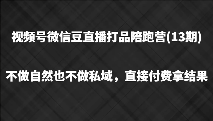 视频号微信豆直播打品陪跑(13期)，不做不自然流不做私域，直接付费拿结果-庄子聊项目