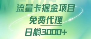 （12321期）流量卡掘金代理，日躺赚3000+，变现暴力，多种推广途径-庄子聊项目