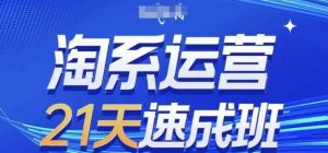 淘系运营21天速成班(更新24年8月),0基础轻松搞定淘系运营,不做假把式-庄子聊项目