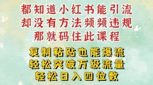 小红书靠复制粘贴一周突破万级流量池干货,以减肥为例,每天稳定引流变现四位数【揭秘】-庄子聊项目
