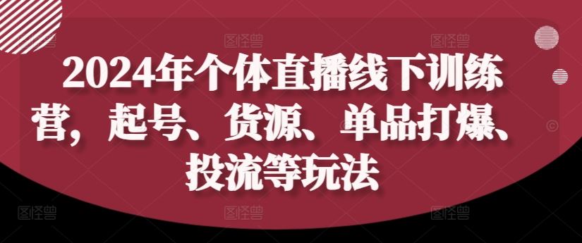 2024年个体直播训练营，起号、货源、单品打爆、投流等玩法-庄子聊项目