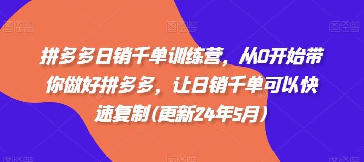 拼多多日销千单训练营，从0开始带你做好拼多多，让日销千单可以快速复制(更新24年8月)-庄子聊项目