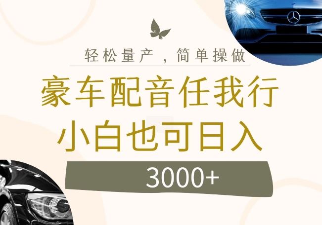 不为人知的暴力小项目，豪车配音，日入几张【揭秘】-庄子聊项目