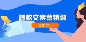 爆款文案营销课:公域转私域,涨粉成交一网打尽,各行业人士必备-庄子聊项目